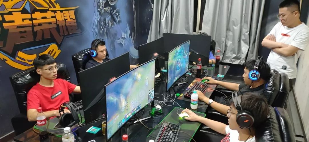 福冈黄蜂虽 福冈黄蜂虽